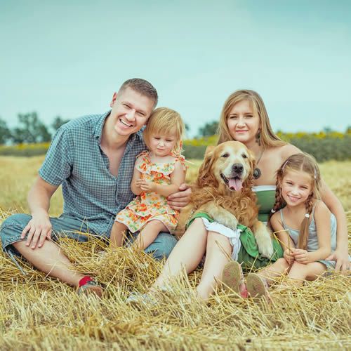 Une famille et un chien jouent dans un champ de blé à la campagne

