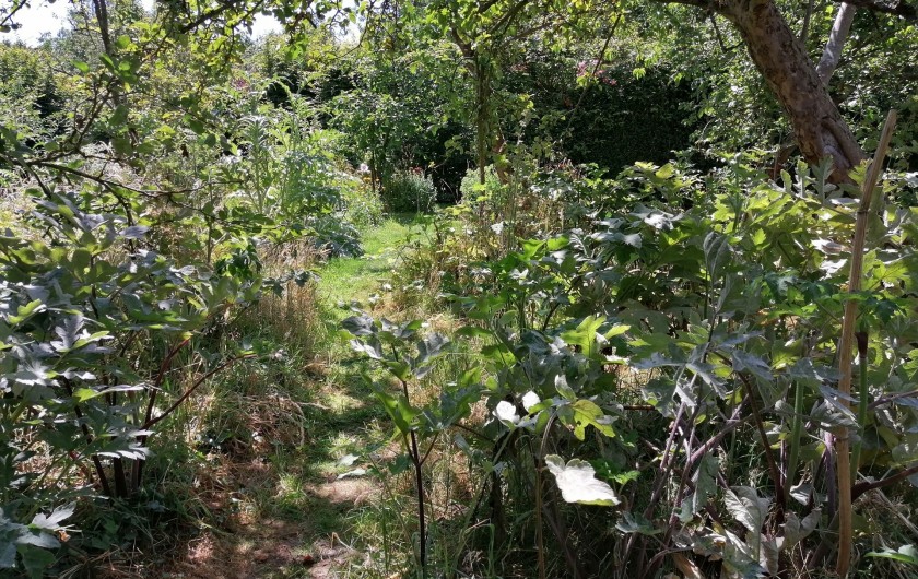 Location de vacances - Appartement à Haplincourt - Jardin