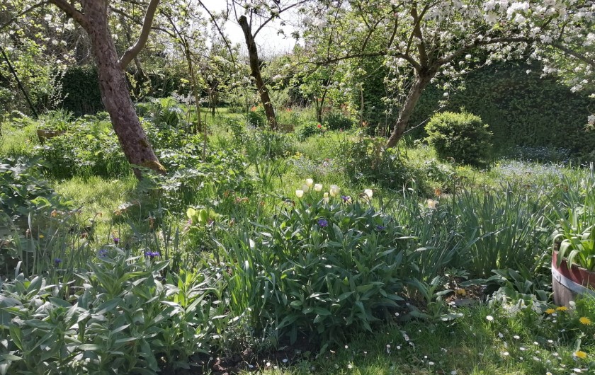 Location de vacances - Appartement à Haplincourt - Jardin autre vue