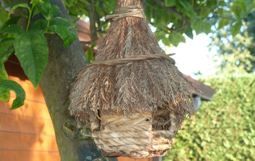 Location de vacances - Chalet à Pozzuoli - la maison des oiseaux