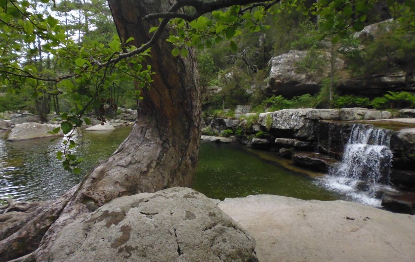 Location de vacances - Maison - Villa à Évisa - piscine naturelle en forêt d'Aïtpne