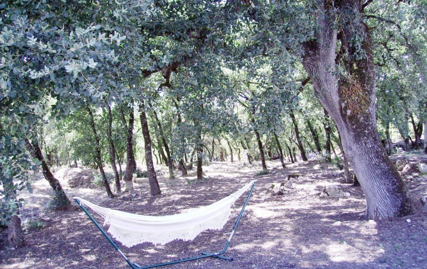 Location de vacances - Chambre d'hôtes à Alcobaça - bois de chênes hammack