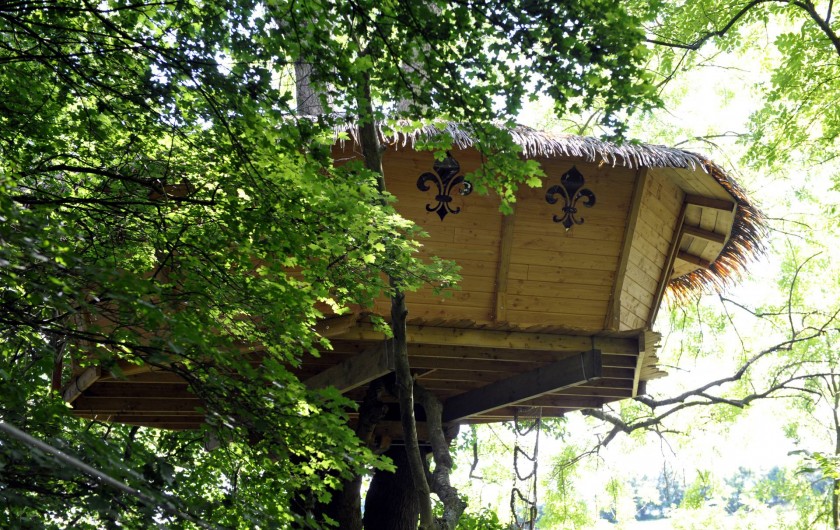 Location de vacances - Cabane dans les arbres à Saint-Germain-des-Essourts - Cabane "Soleil Royal"
