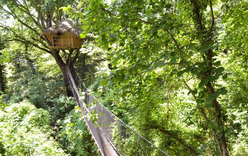 Location de vacances - Cabane dans les arbres à Saint-Germain-des-Essourts - Cabane "Vieux Chêne"