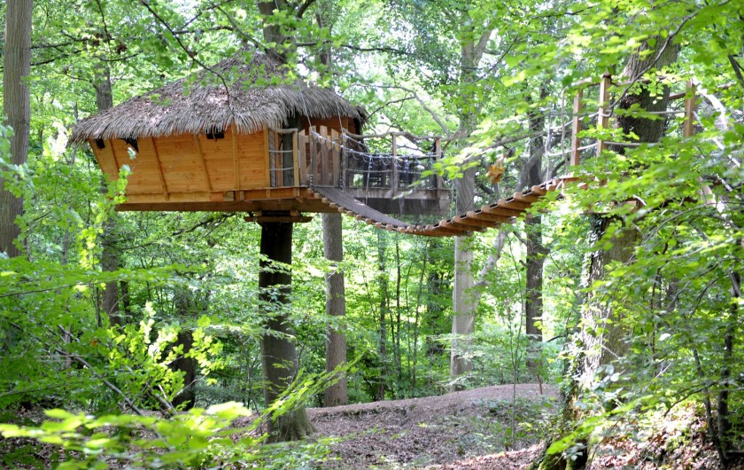 Location de vacances - Cabane dans les arbres à Saint-Germain-des-Essourts - Cabane "Canyon"
