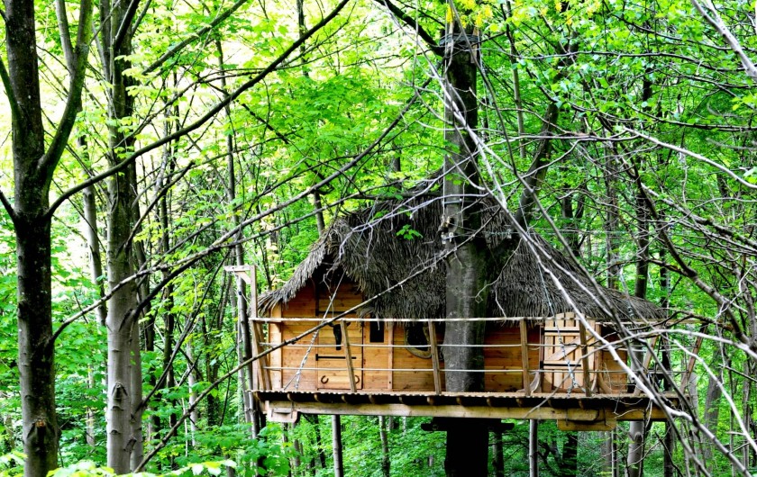 Location de vacances - Cabane dans les arbres à Saint-Germain-des-Essourts - Cabane "Fer à Cheval"