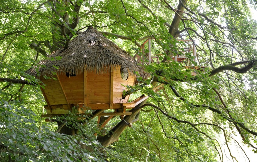 Location de vacances - Cabane dans les arbres à Saint-Germain-des-Essourts - Cabane "Grand Hêtre"