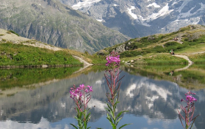 Location de vacances - Chalet à Le Dévoluy