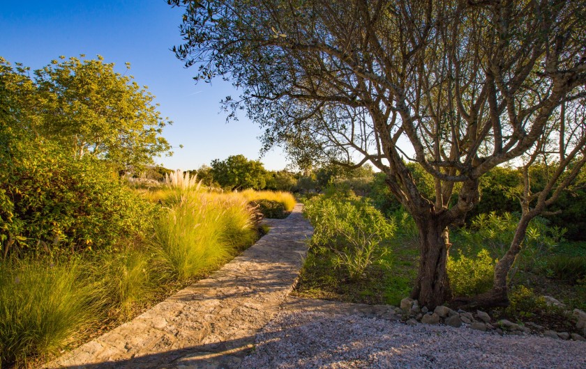 Location de vacances - Maison - Villa à Santa Bárbara de Nexe