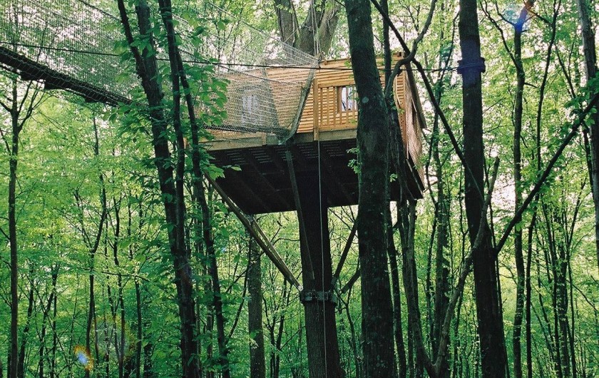 La Sous-bois, en plein forêt  perchée à 8 mètres