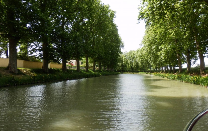 Location de vacances - Villa à Saint-Génies-de-Fontedit - Canal du Midi