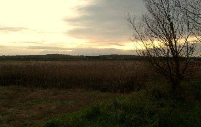 Location de vacances - Maison - Villa à Samer