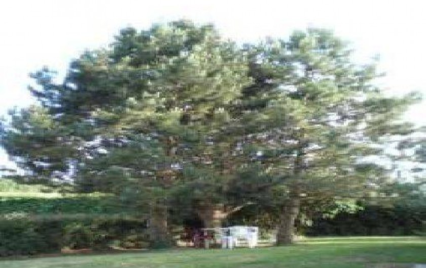 Location de vacances - Maison - Villa à Samer