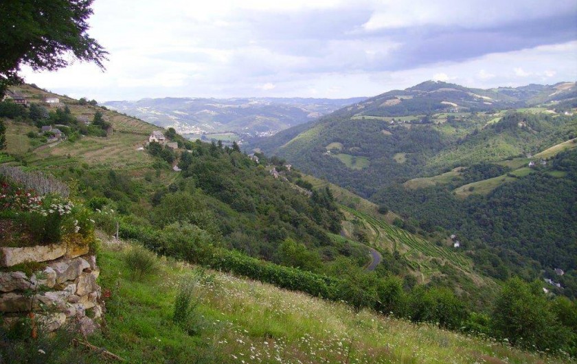 Location de vacances - Gîte à Florentin-la-Capelle - Vue sur les vignes de la vallée du Lot (Le Fel)