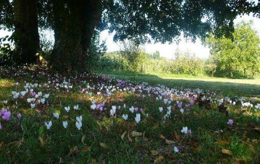 Location de vacances - Maison - Villa à Cussay
