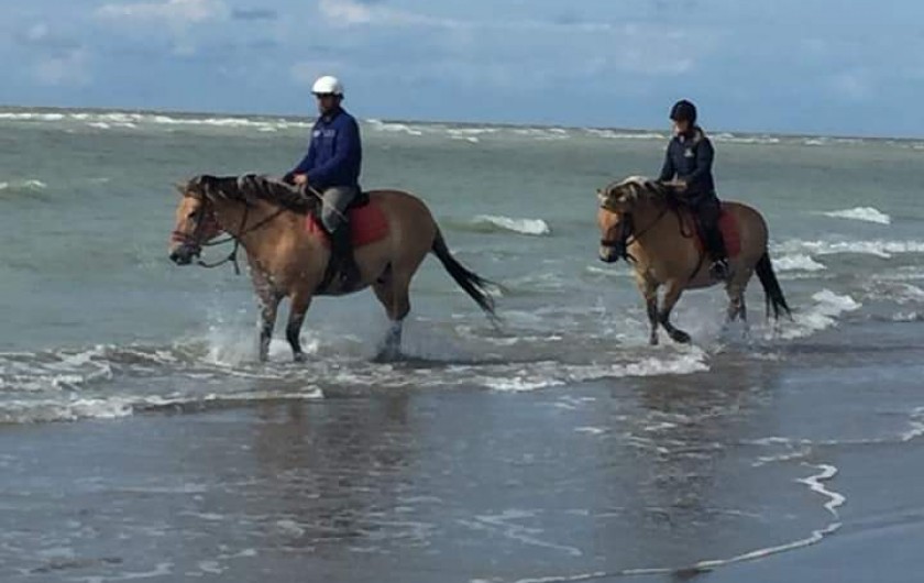 Location de vacances - Appartement à Cayeux-sur-Mer