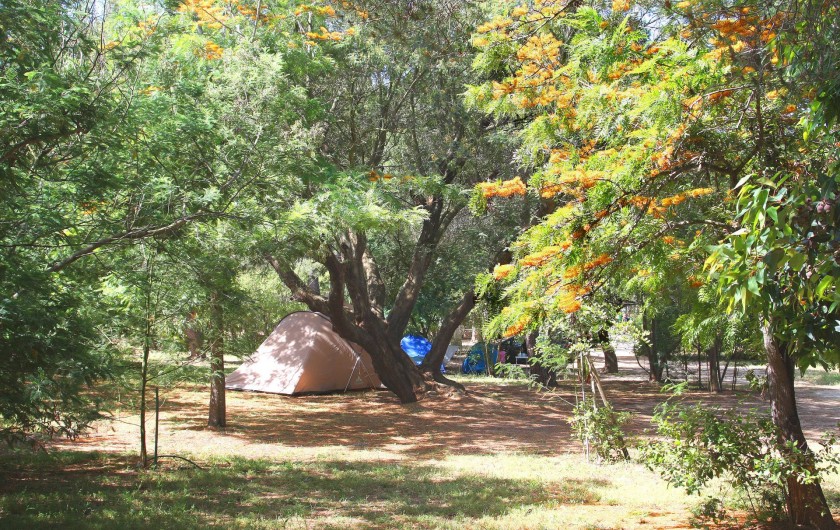 Location de vacances - Bungalow - Mobilhome à Calvi - terrain de camping