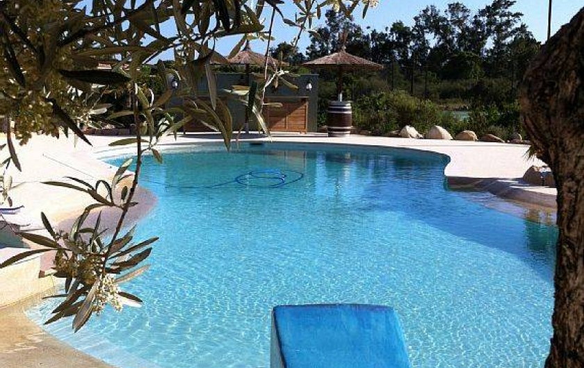 Location de vacances - Villa à Lecci - Plage piscine privée arborée