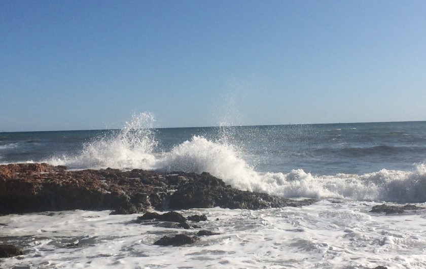 Location de vacances - Studio à Sausset-les-Pins
