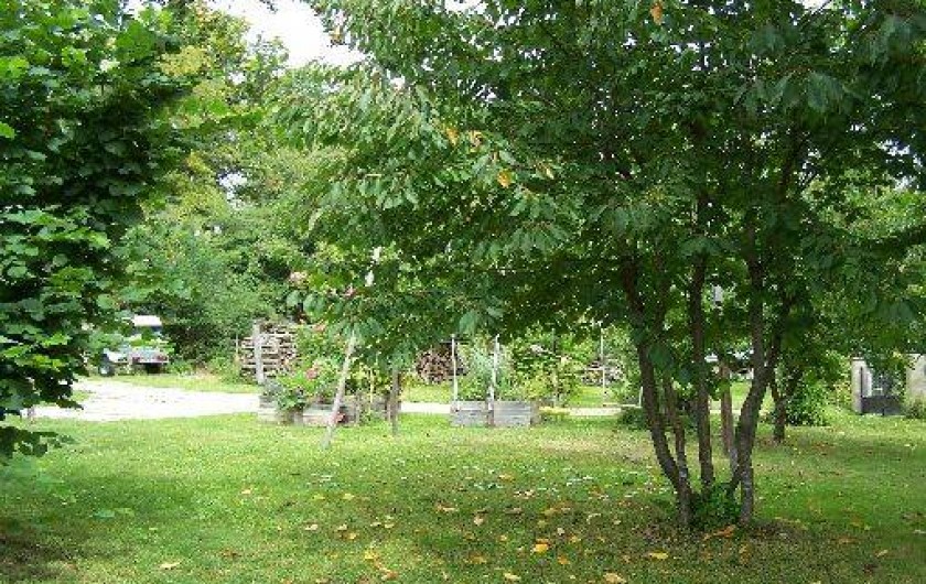 Location de vacances - Gîte à Dierre - Espace nature au jardin