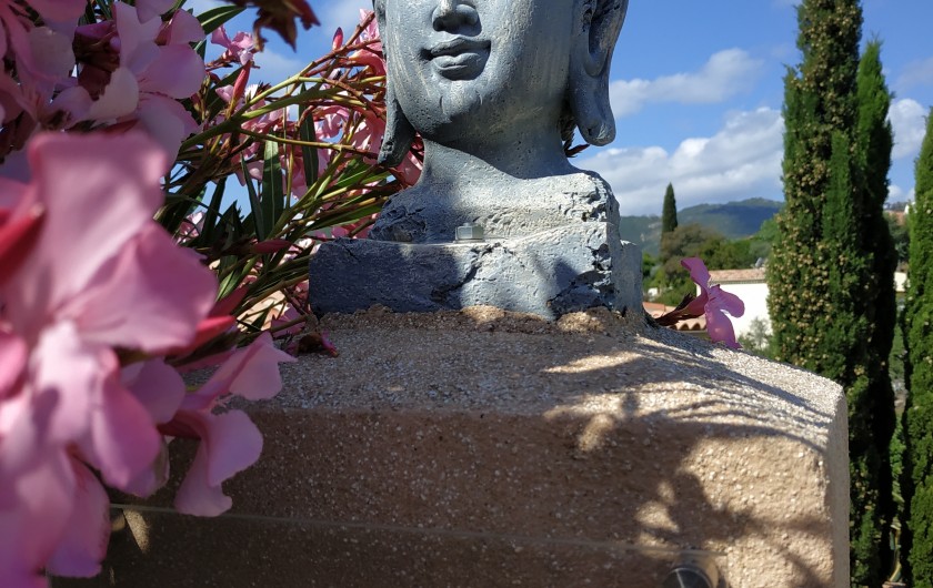 Location de vacances - Villa à Favone