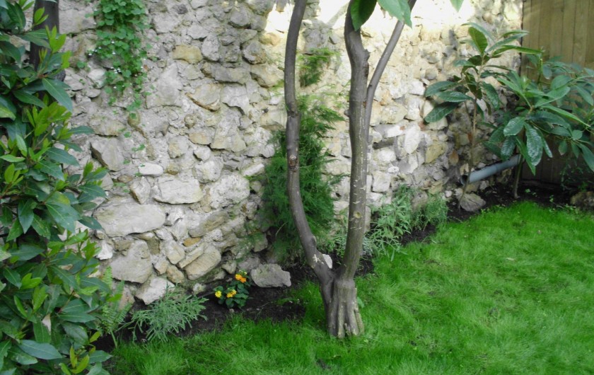 Location de vacances - Maison - Villa à Antibes