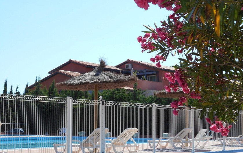 Location de vacances - Appartement à Alénya - Piscine de l'hotel accessible pendant l'été