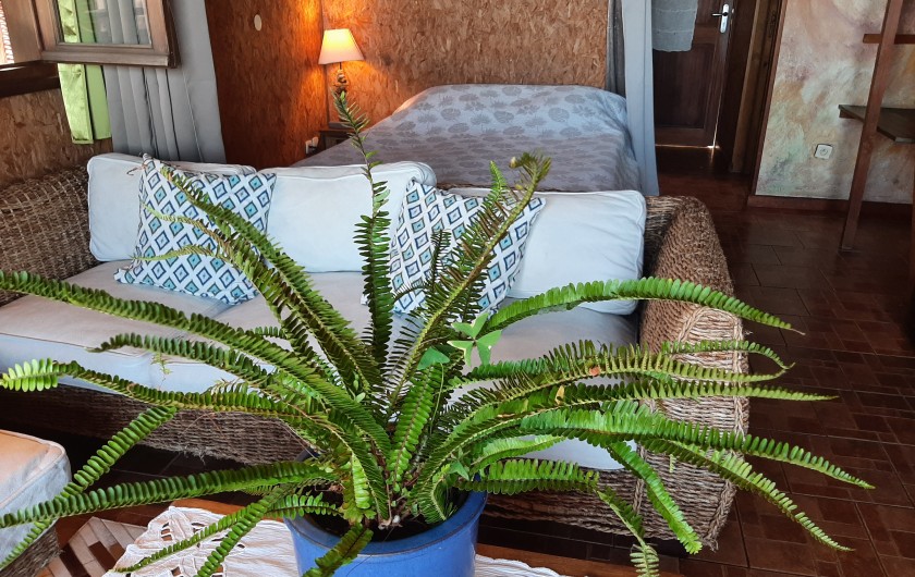 Location de vacances - Gîte à Saint-Leu - bungalow lune