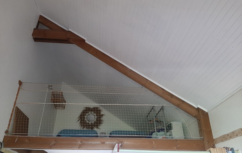 Location de vacances - Gîte à Saint-Leu - mezzanine bungalow soleil