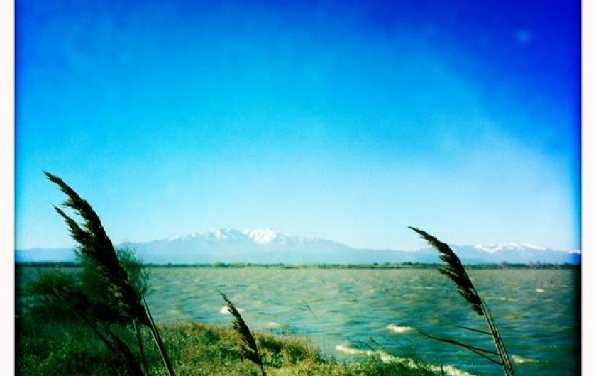 le massif du mont Canigou et l'étang de Canet