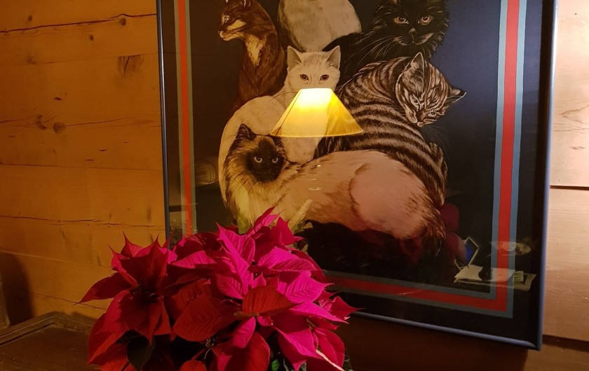 Location de vacances - Chalet à Les Diablerets - Décoration intérieure