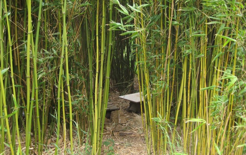 Location de vacances - Gîte à Saint-Alban-d'Ay - Cabane dans les bambous