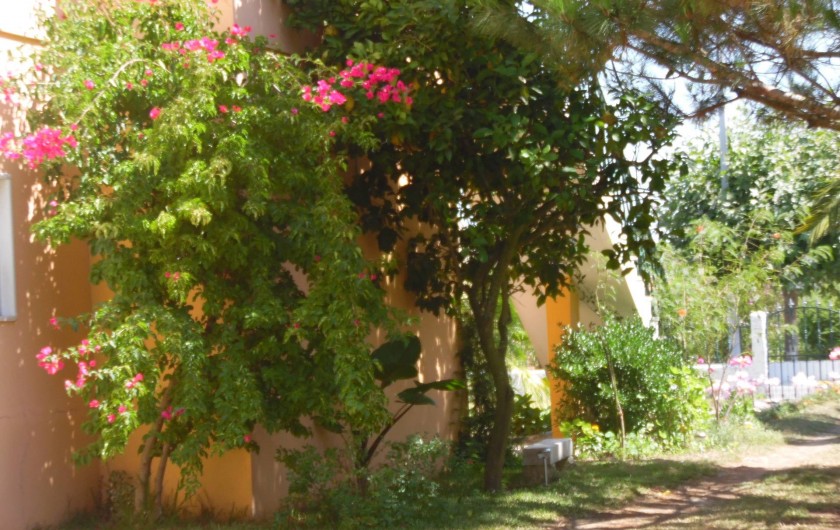 Location de vacances - Villa à Amieiro