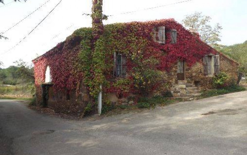 Location de vacances - Maison - Villa à Fabrezan