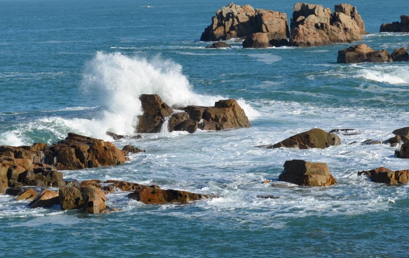 Location de vacances - Maison - Villa à Tréguier