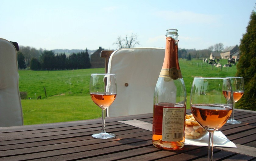 Location de vacances - Gîte à Rémersdael