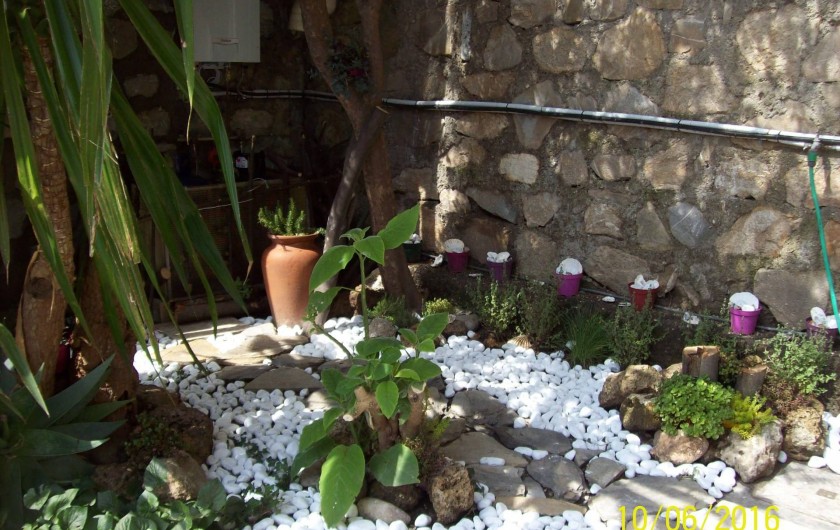 Location de vacances - Appartement à Alassio - le jardin