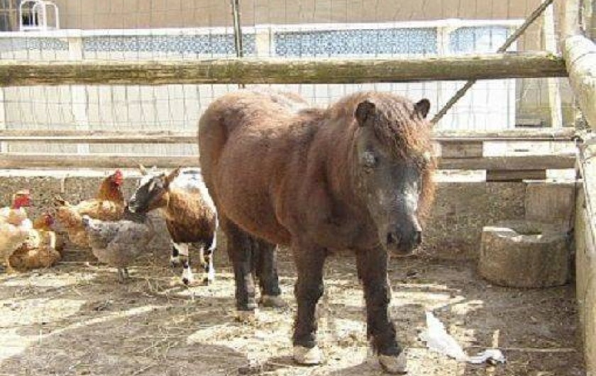 Location de vacances - Appartement à Plan-d'Orgon