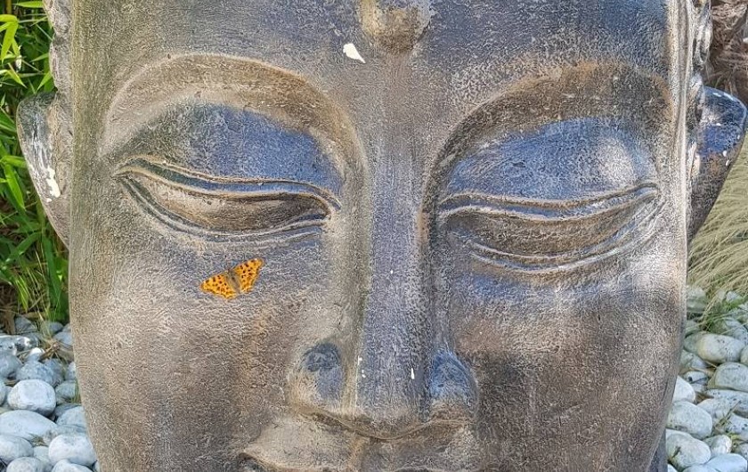 Location de vacances - Villa à Ploemel