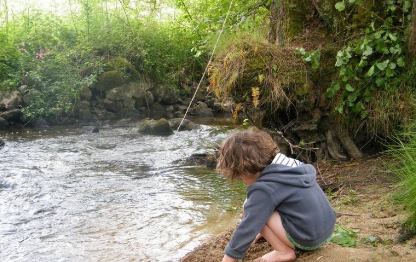 Location de vacances - Chambre d'hôtes à Saint-Avit-de-Tardes