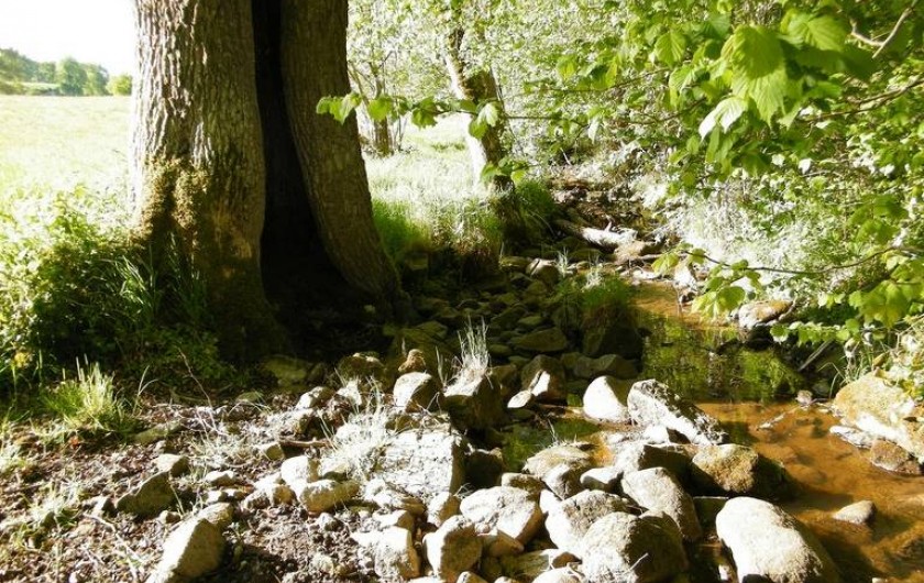 Location de vacances - Chambre d'hôtes à Saint-Avit-de-Tardes