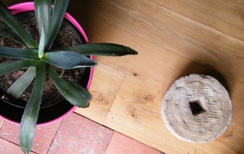 Location de vacances - Chambre d'hôtes à Saint-Avit-de-Tardes