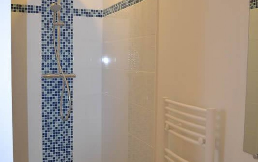 Location de vacances - Gîte à La Baconnière - Salle de douche rez-de-chaussée