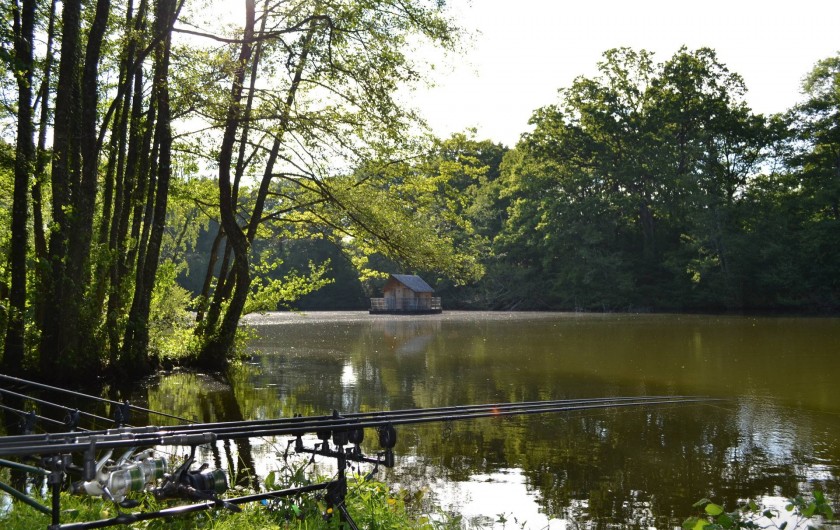 Location de vacances - Gîte à La Baconnière - Etang où la pêche no-kill est autorisée