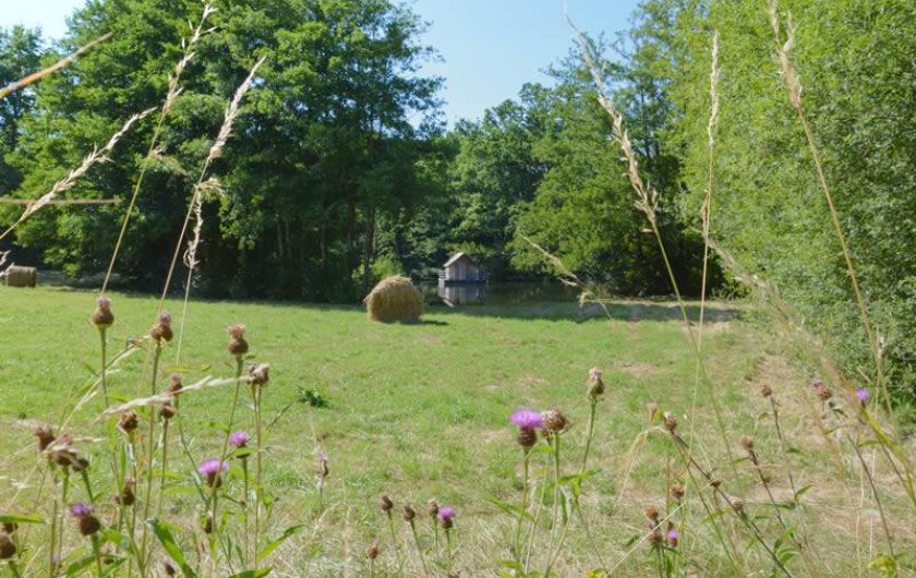 Location de vacances - Gîte à La Baconnière - Parc