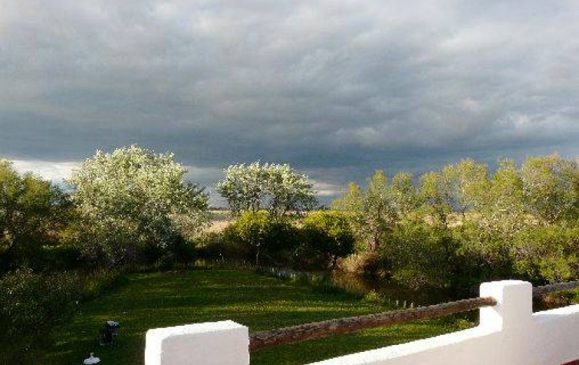 Location de vacances - Gîte à Saintes-Maries-de-la-Mer