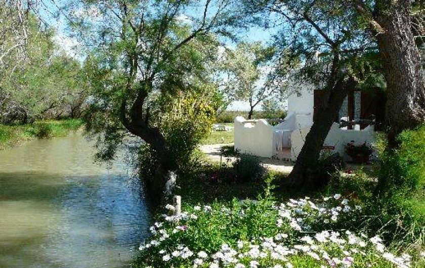 Location de vacances - Gîte à Saintes-Maries-de-la-Mer