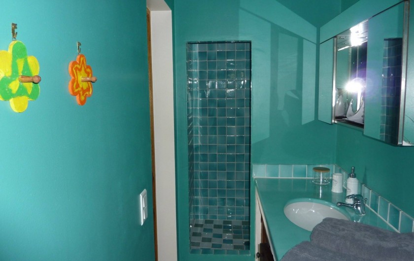 Location de vacances - Chambre d'hôtes à Bargemon - Salle de bains chambre 2