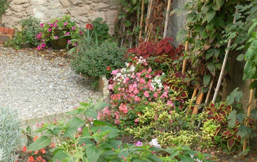 Location de vacances - Appartement à Villeneuve-Minervois - Cour intérieure fleurie.