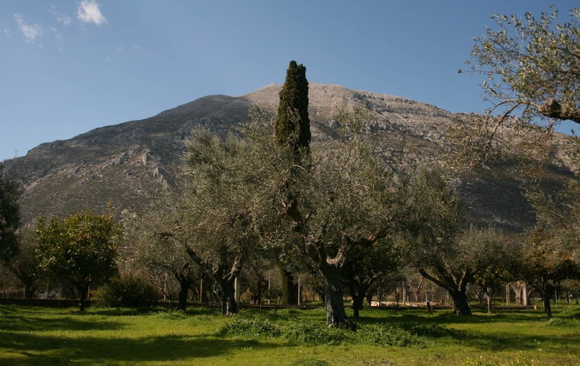 Location de vacances - Villa à Agios Polikarpos - La vue de la montagne